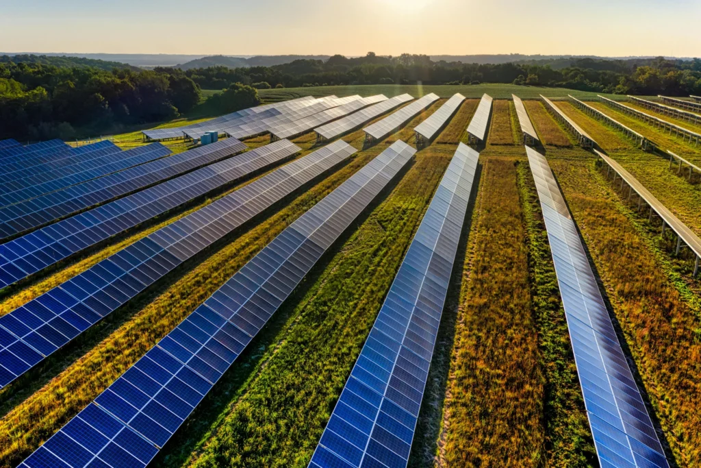 Solar arrays in a field